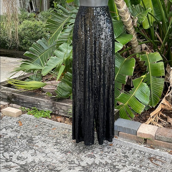Express Pants - Express Carla sequin wide leg pants